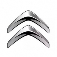 (駕考駕培)新愛麗舍檔位轉(zhuǎn)向角示寬后霧燈喇叭信息采集